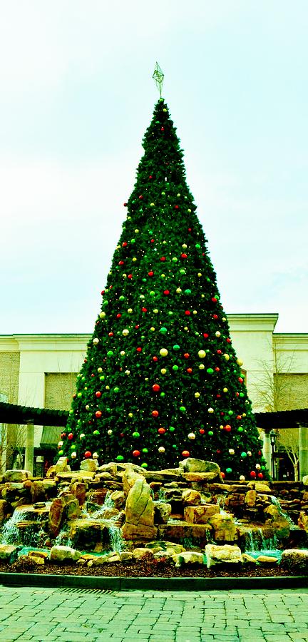 Newnan Christmas Tree Photograph by Eileen Brymer