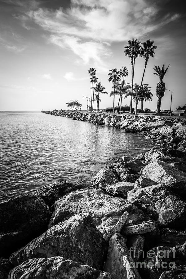 Newport Beach Jetty Black and White Photo Photograph by Paul Velgos
