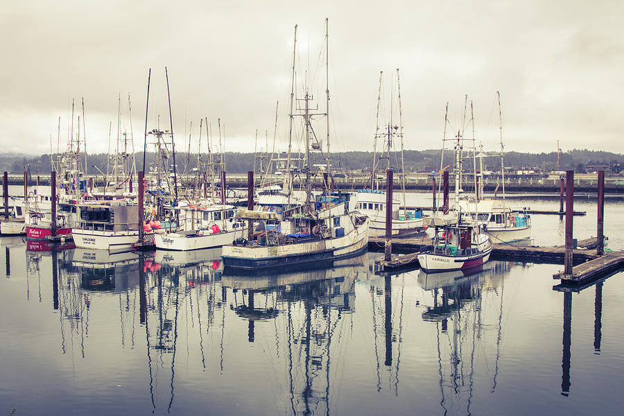 Newport Boats 3 Photograph by Catherine Avilez