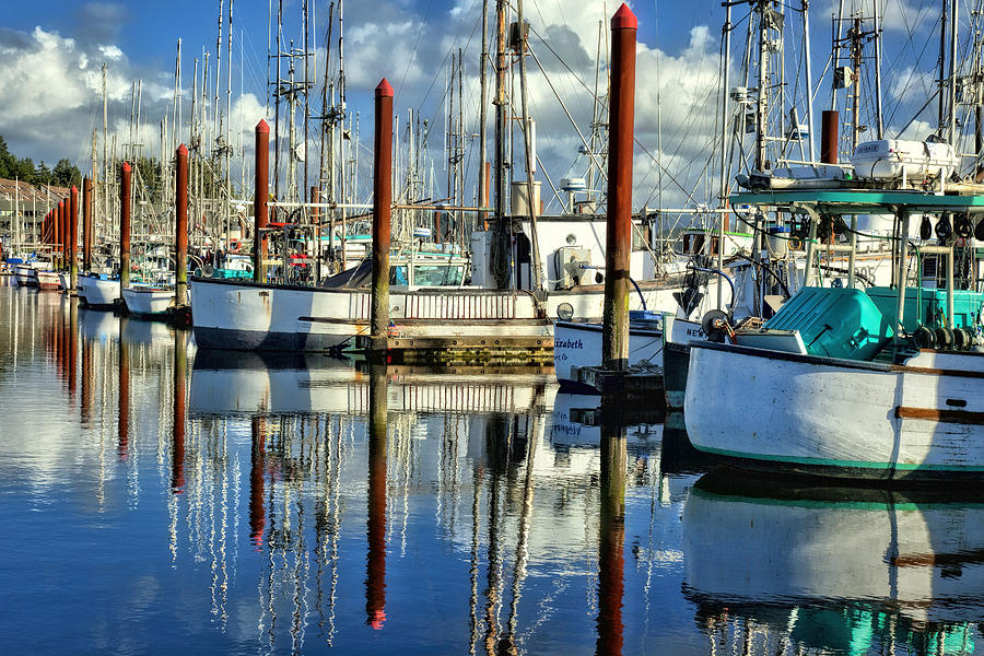 Newport Marina Photograph by Diana Powell