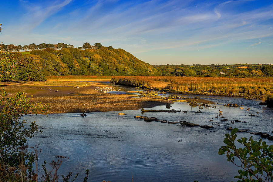 Newport Marshes Photograph by Mark Llewellyn