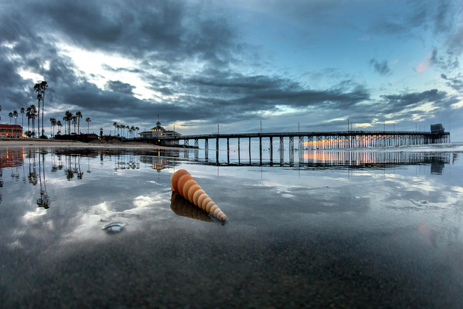 Newport Pier Seashell Photograph by Sean Davey