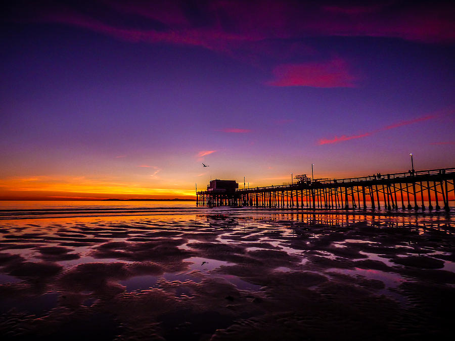 Newport Pier Sunset Photograph by Pamela Newcomb