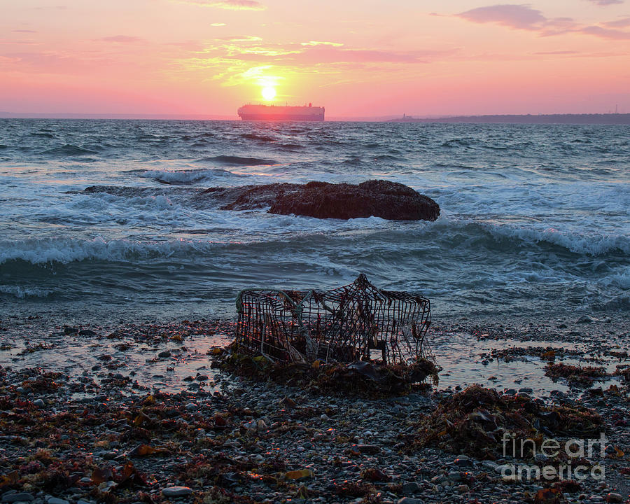 Newport Sunset Lobster Crate Photograph by Cheryl Del Toro