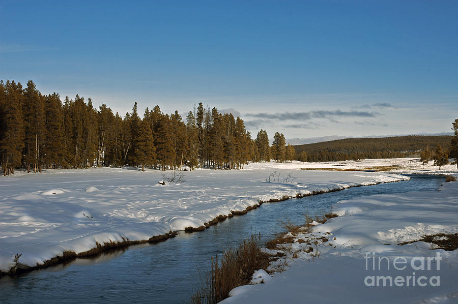 Nez Perce Creek Photograph by Cindy Murphy - NightVisions