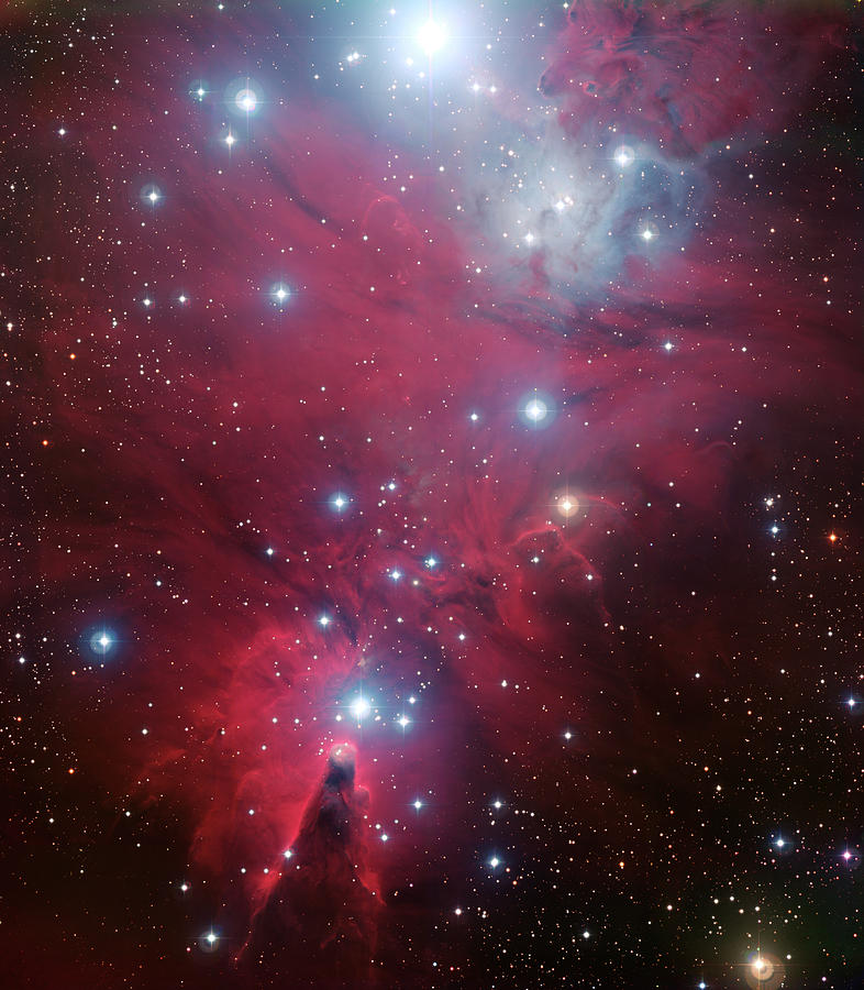 NGC 2264 and the Christmas Tree Star Cluster Photograph by Eric Glaser