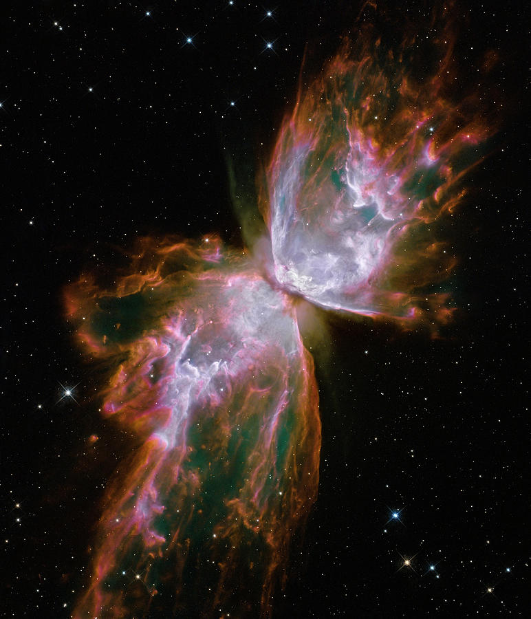 NGC 6302 Hubble 2009 Photograph by NASA and the European Space Agency