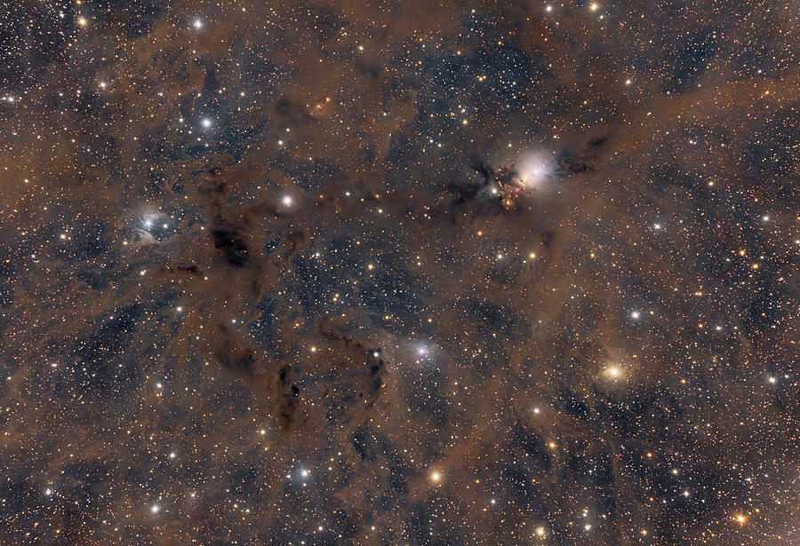 Space Photograph - Ngc1333 by Dennis Sprinkle