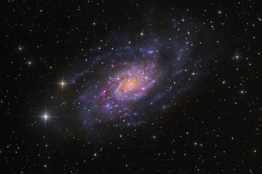 NGC2403-HaLRGBMP Painting by Celestial Images