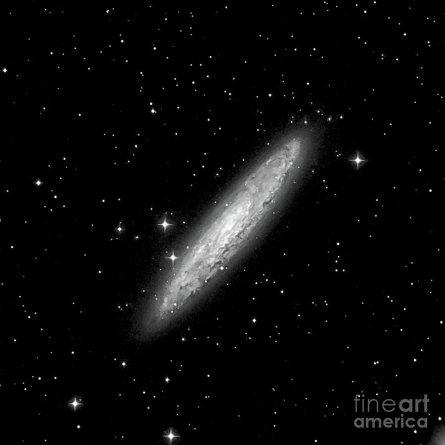 NGC253 The Sculptor Galaxy Photograph by Jim DeLillo