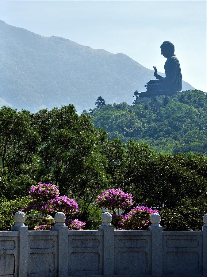 Ngong Pin Temple Giant Buddha Photograph by Barbara Ebeling