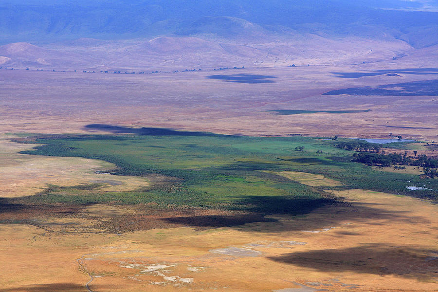 Nature Photograph - Ngorongoro Crater Tanzania by Aidan Moran