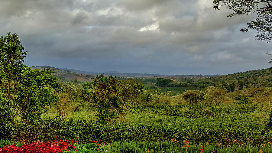 Ngorongoro Scenery in Tanzania Photograph by Marilyn Burton