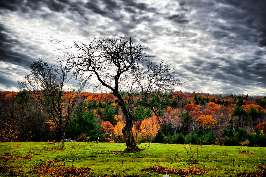 NH Autumn Afternoon Photograph by Edward Myers