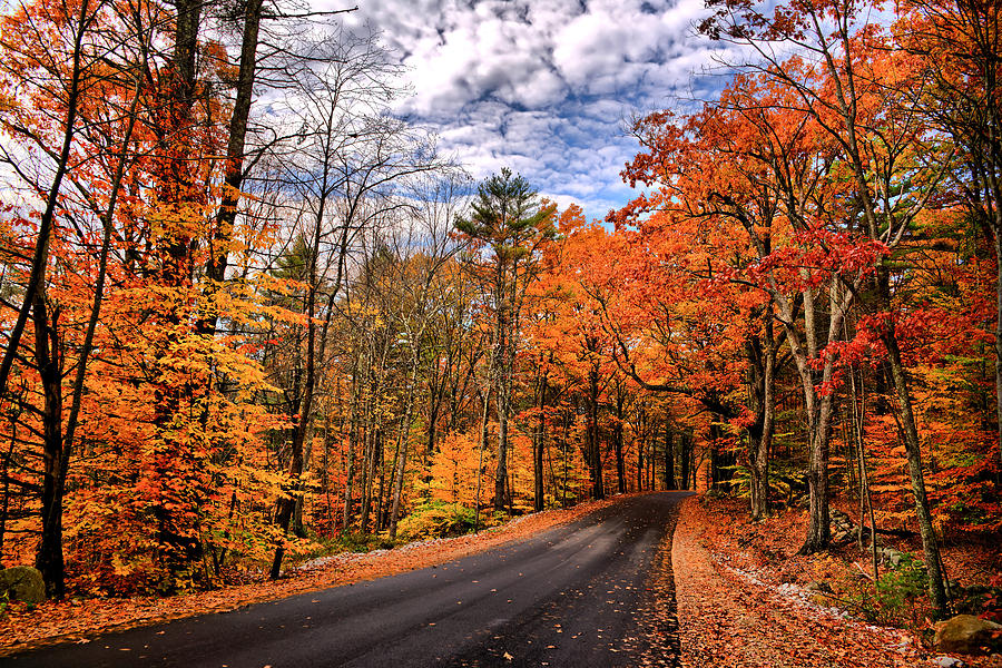 Fall Photograph - NH Autumn Road 4 by Edward Myers