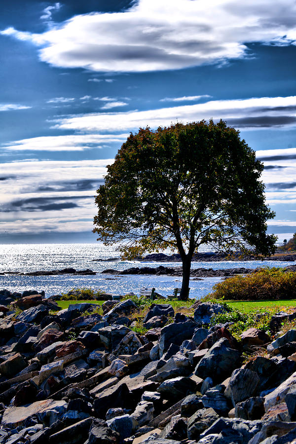 NH Seacoast in Autumn  Photograph by Edward Myers