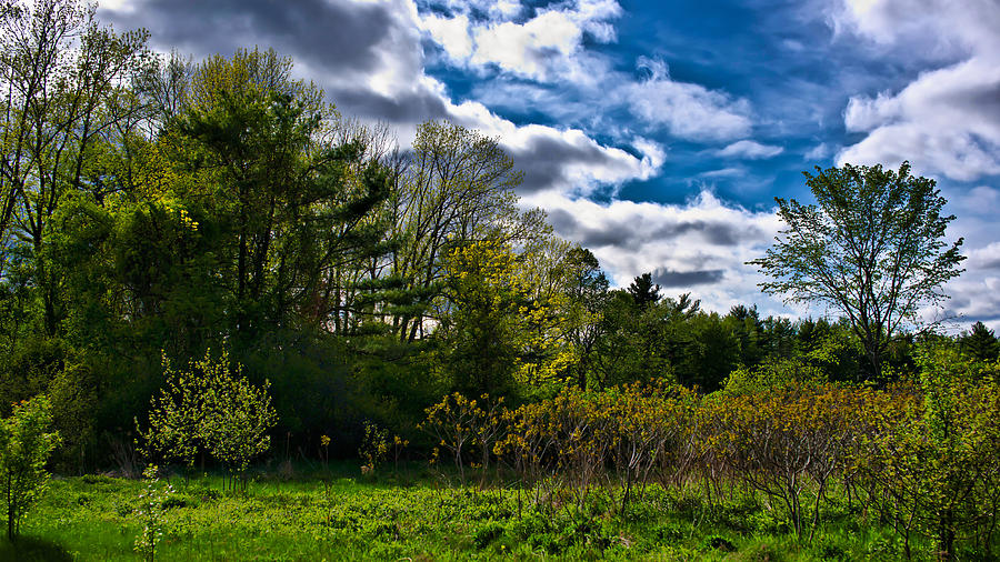 NH Spring Landscape Photograph by Edward Myers