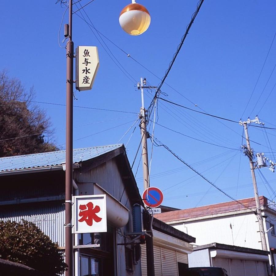 Hasselblad Photograph - #和歌山県海南市
#hasselblad by Takashi Shishido
