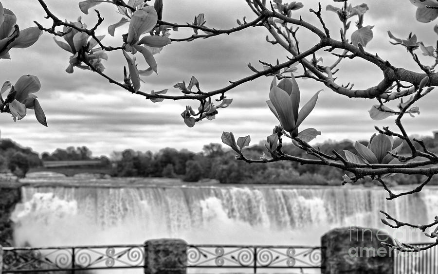 Niagara American Falls Spring Photograph by Charline Xia