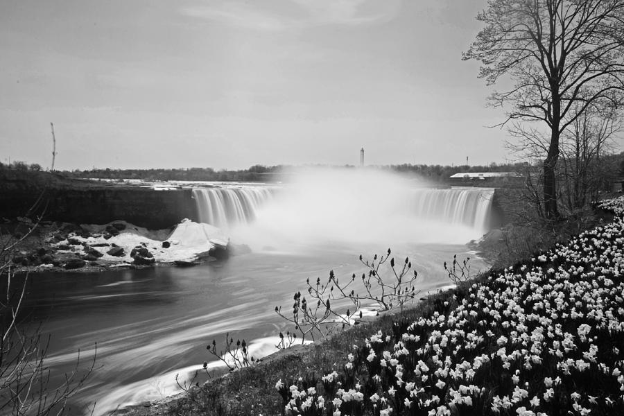Niagara Falls Horseshoe falls Black and White Photograph by Toby McGuire