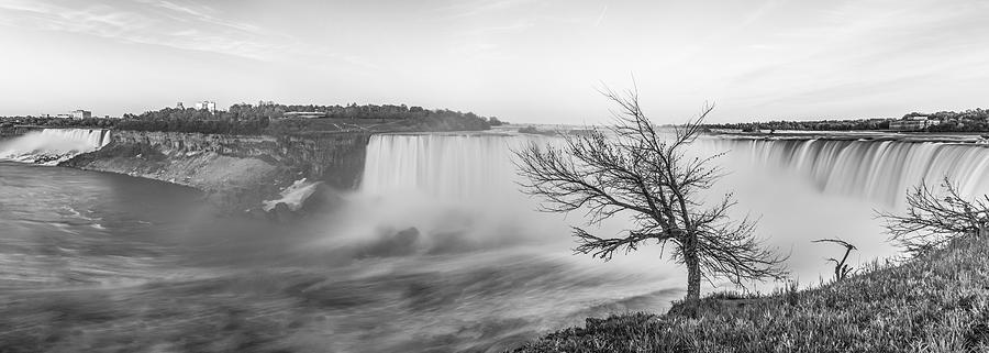 Niagara Falls Lonely Tree Photograph by John McGraw