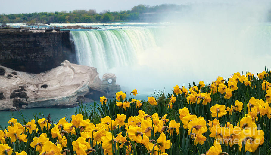 Niagara Falls Spring Flowers and Melting Ice Photograph by Charline Xia