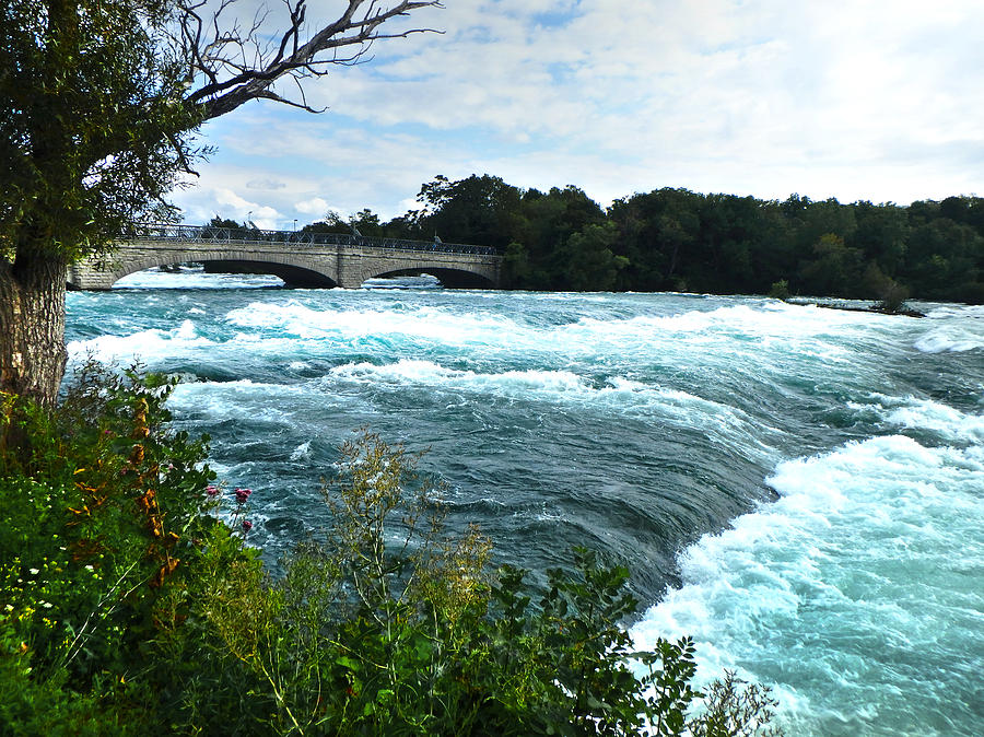 Niagara River Photograph by Judy Hall-Folde