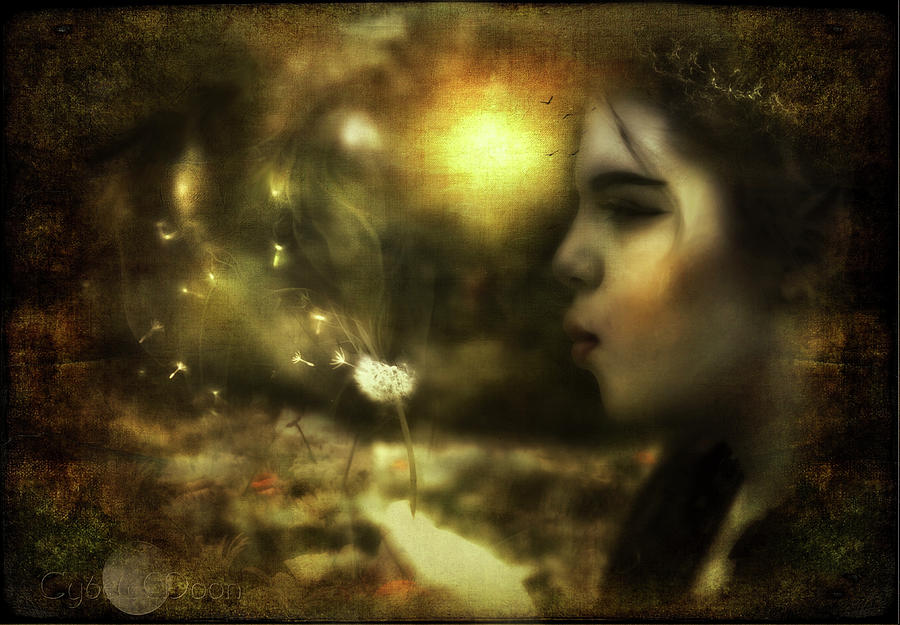 Niamhs Wishes Photograph by Cybele Moon