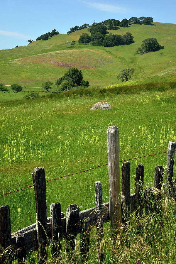 Nicasio Fence and Hills in Spring 2 Photograph by Kathy Yates