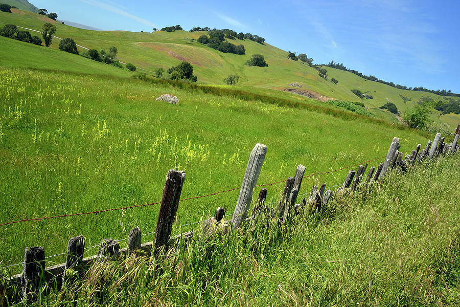 Nicasio Fence and Hills in Spring Photograph by Kathy Yates
