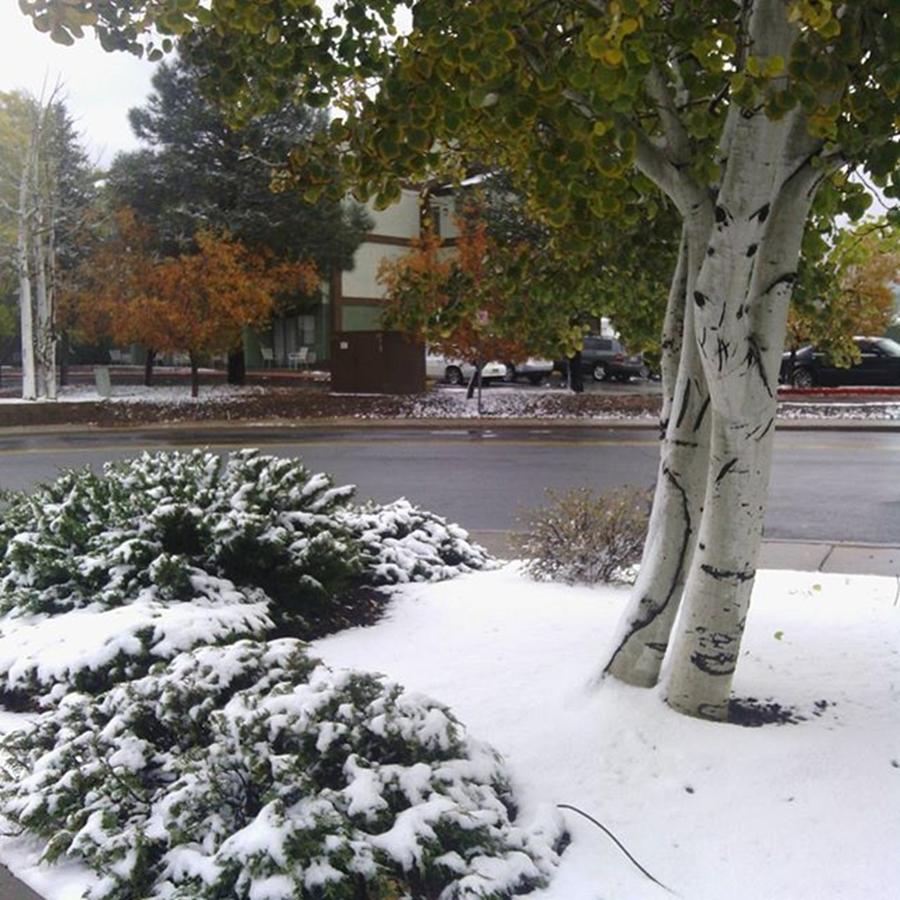 Escalante Photograph - Nice Change To Snow On The Way Home by DJ Circa