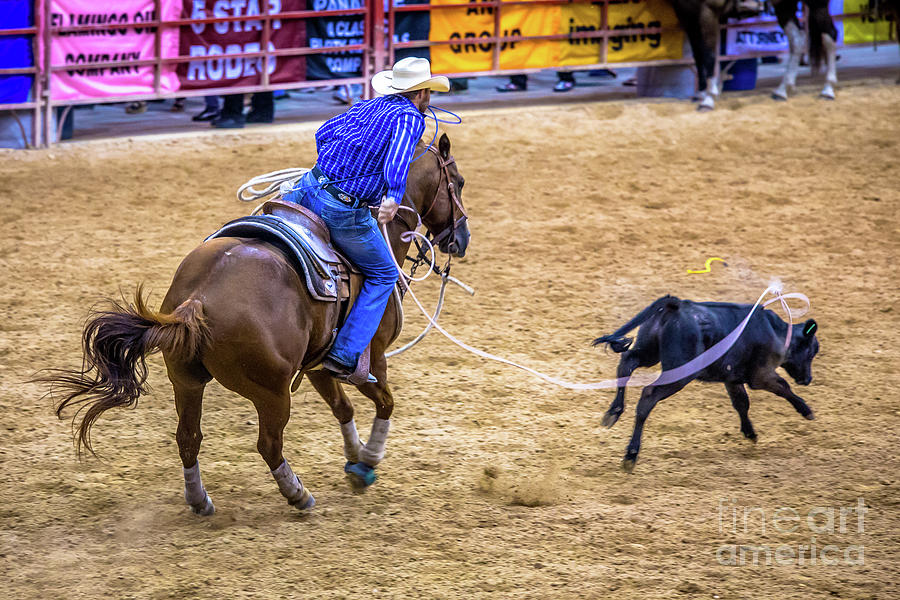 Nice Roping Photograph by Rene Triay FineArt Photos