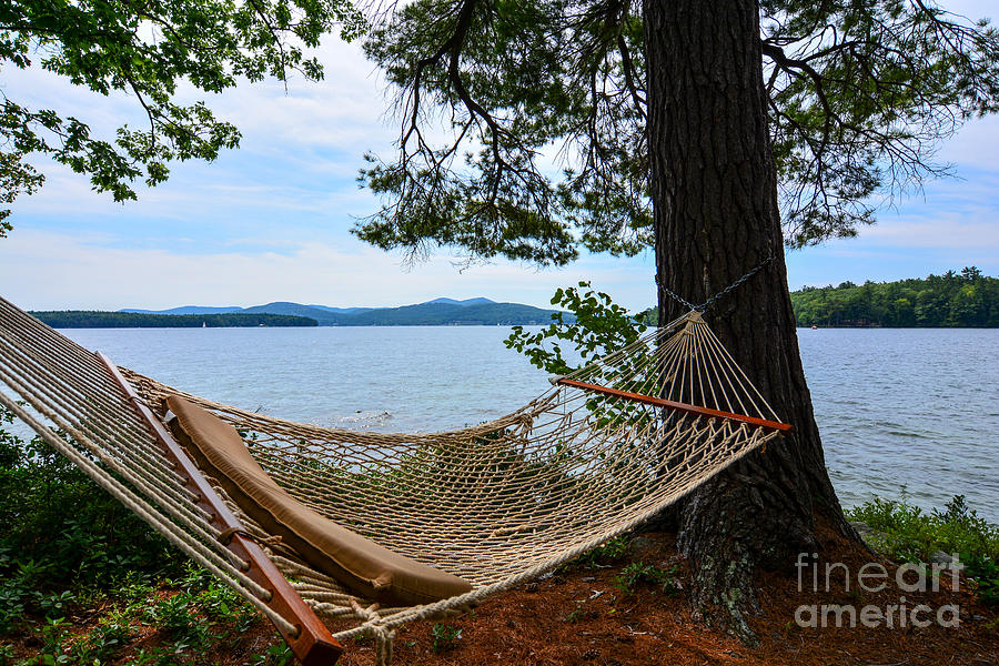Nice Spot for a Nap Photograph by Mim White | Fine Art America