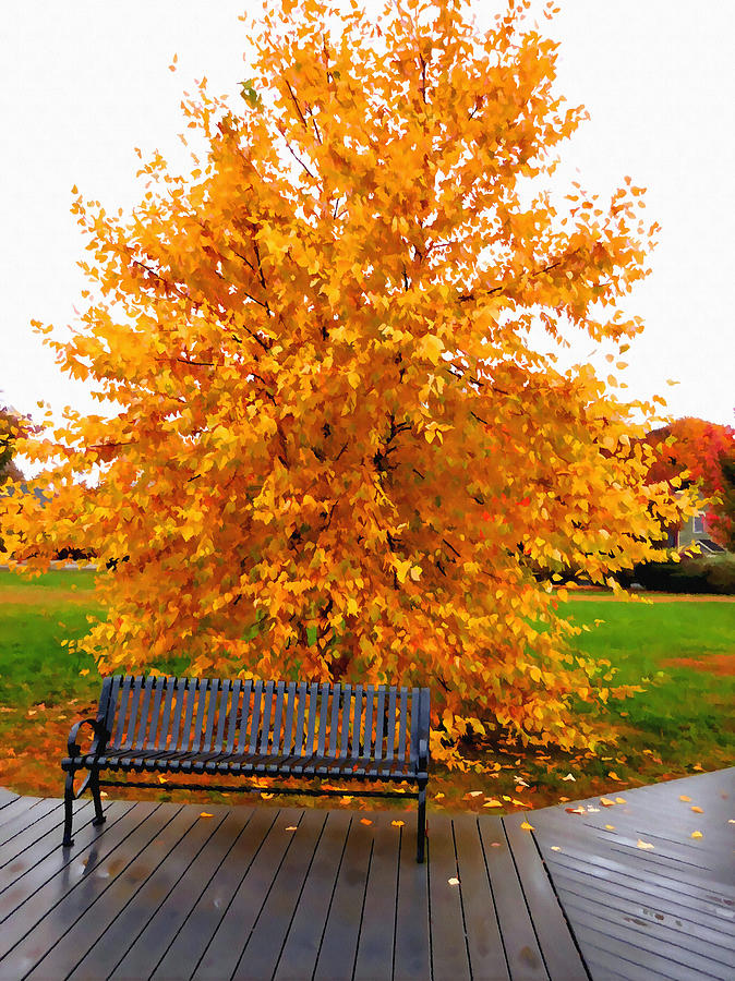 Nice tree in autumn Painting by Jeelan Clark