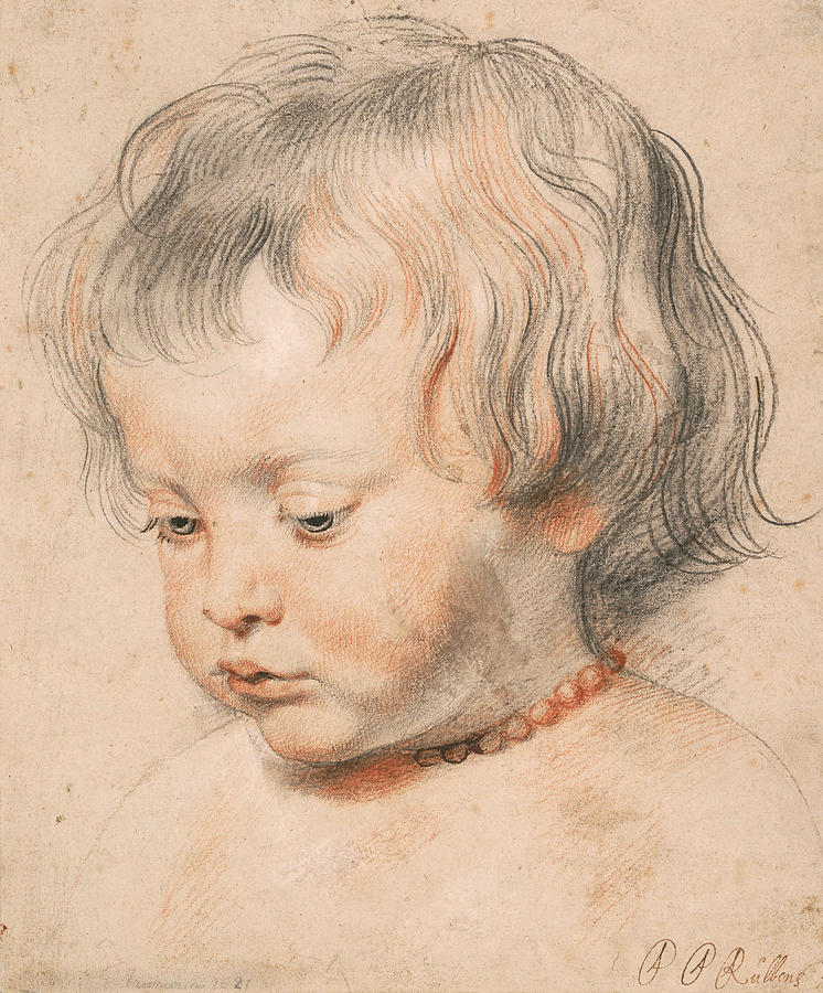 Nicolaas Rubens Wearing a Coral Neckless Drawing by Peter Paul Rubens