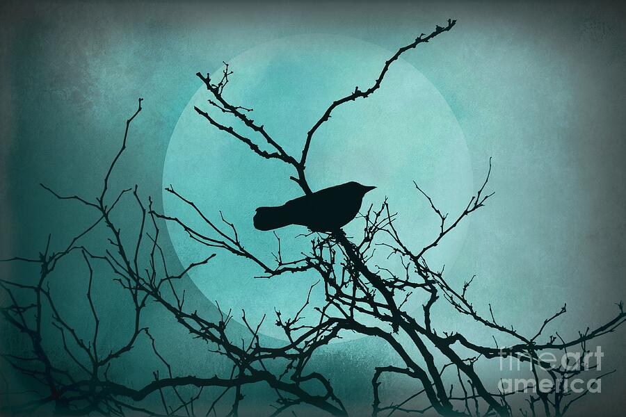 Night Bird Photograph by Patricia Strand