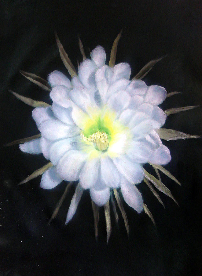Flowers Still Life Painting - Night Bloomig Cerus by Darlene Green
