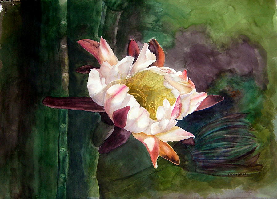 Night Blooming Cereus Painting by Sharon Mick