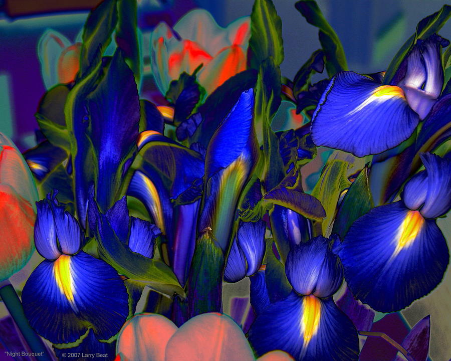 Iris Digital Art - Night Bouquet by Larry Beat