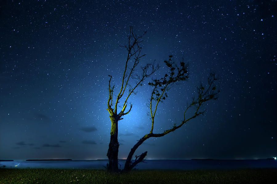 Night Breezes Photograph by Mark Andrew Thomas