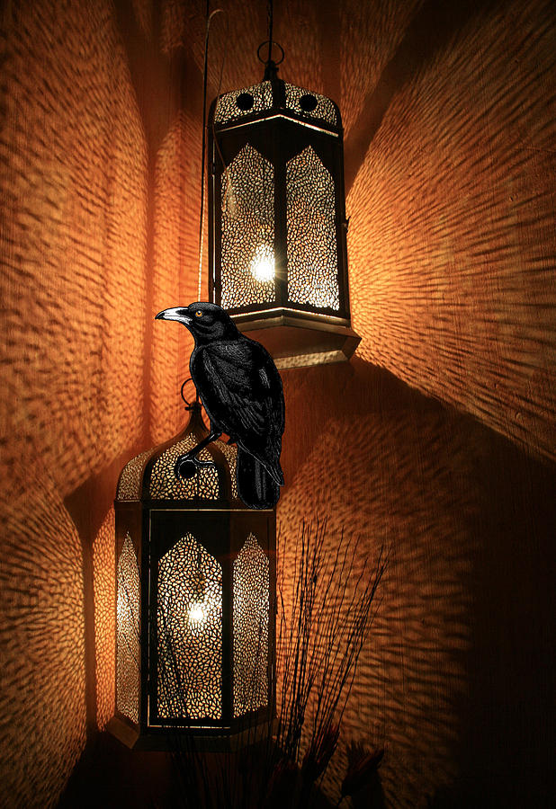 Clothing Photograph - Night Crow Perched On The Lantern by Sandra McGinley