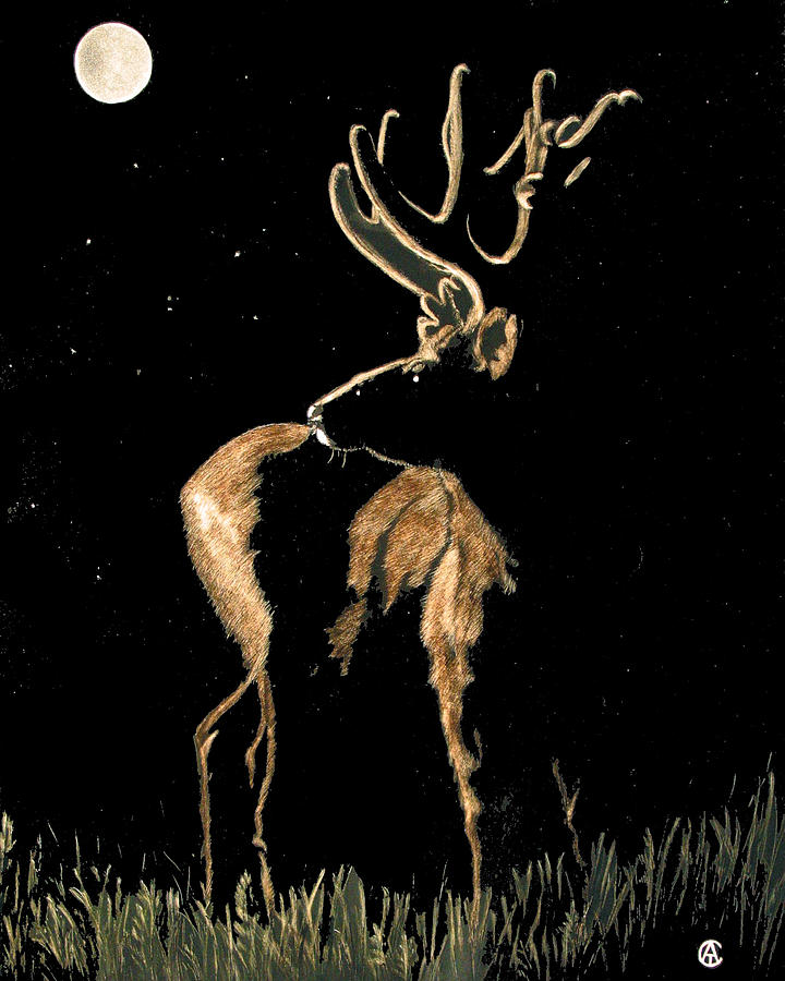 Night Elk Painting by Angie Cockle