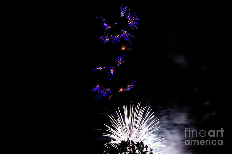 Night Fireworks Photograph by Suzanne Luft