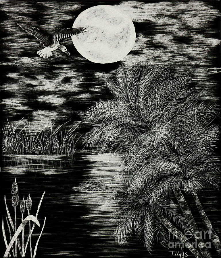 Night Flight Drawing by Terri Mills