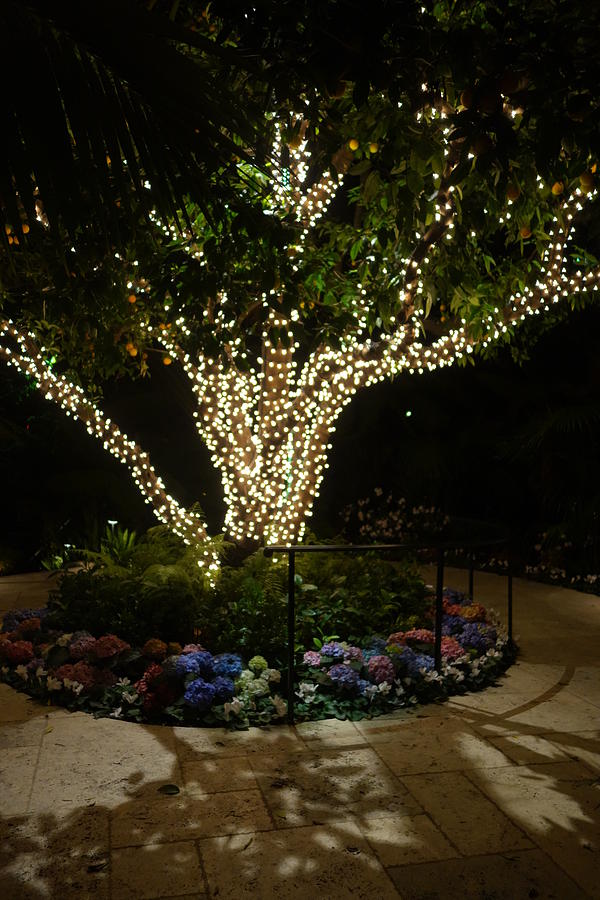 Lights of the Bel Air Courtyard Photograph by Rauno Joks | Fine Art America