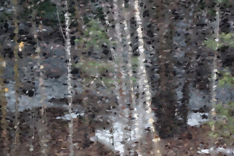 Abstract Photograph - Night Forest 2 by David Boudreau