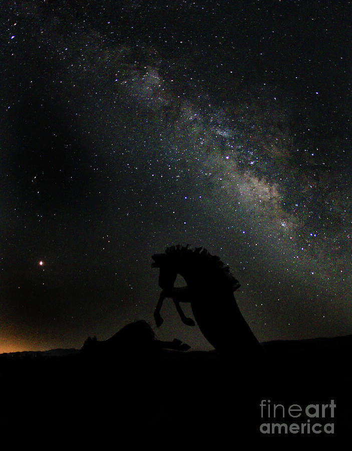 Night Horse Photograph by Mark Jackson