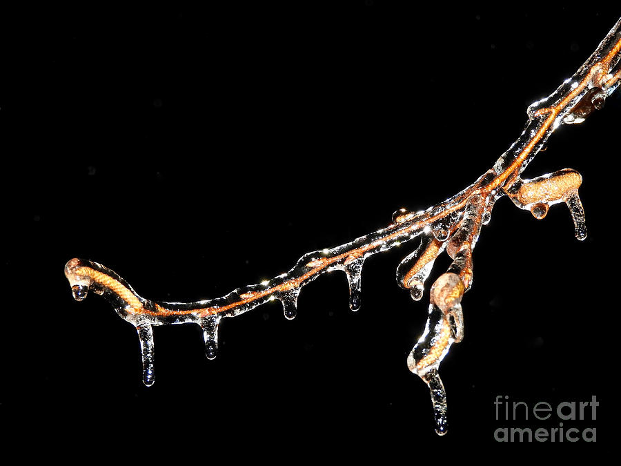Night Ice Photograph by Beth Myer Photography