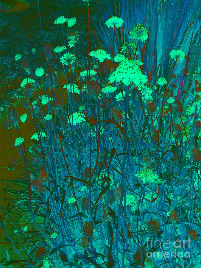 Night in Bloom Digital Art by Nancy Kane Chapman