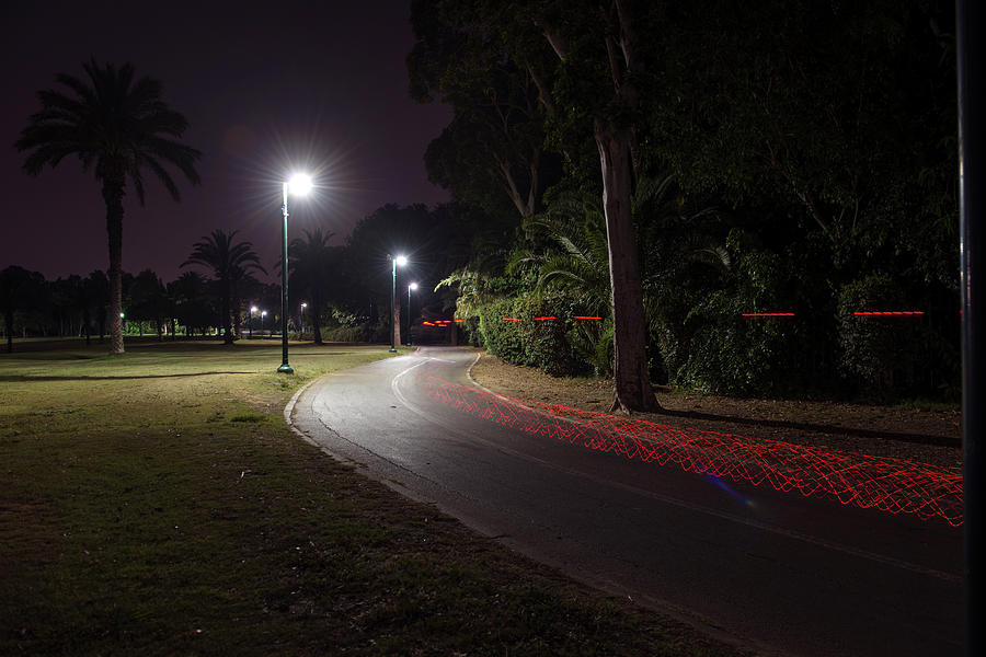 Night in the park Photograph by Dubi Roman